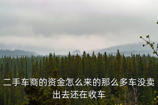 廣州車(chē)販在哪里收車(chē),如何快速獲得廣州車(chē)牌