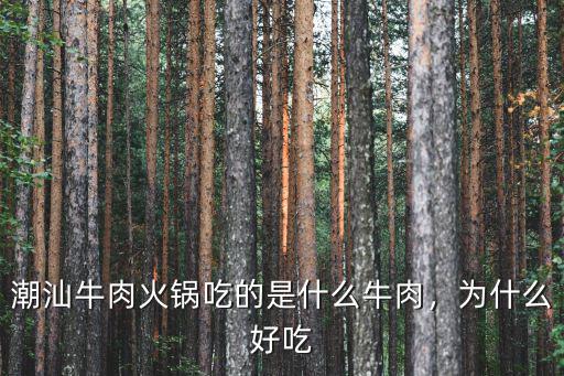 潮汕牛肉火鍋吃的是什么牛肉，為什么好吃