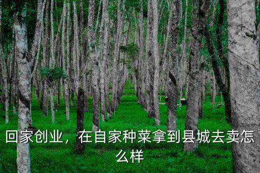 回家創業，在自家種菜拿到縣城去賣怎么樣