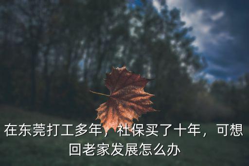 在東莞打工多年，社保買了十年，可想回老家發(fā)展怎么辦
