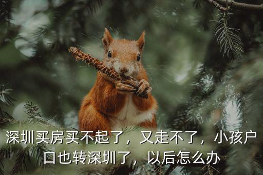 深圳買(mǎi)房買(mǎi)不起了，又走不了，小孩戶口也轉(zhuǎn)深圳了，以后怎么辦