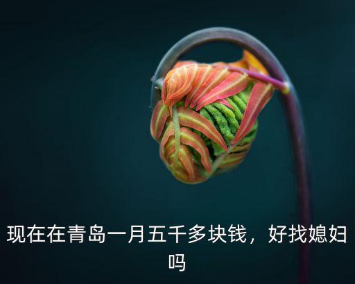 青島總工會一月多少錢,現(xiàn)在在青島一月五千多塊錢