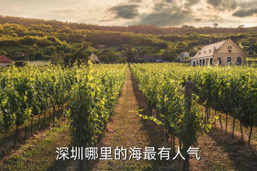 深圳哪里的海最有人氣