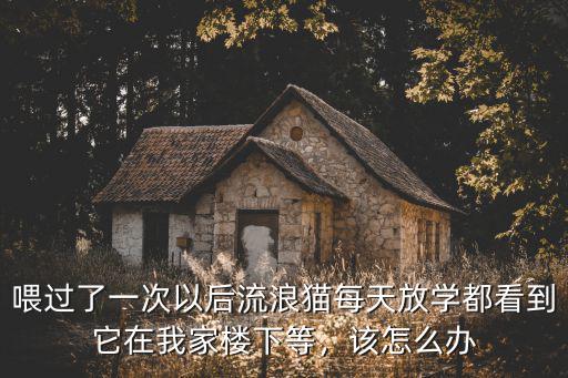 喂過了一次以后流浪貓每天放學都看到它在我家樓下等，該怎么辦