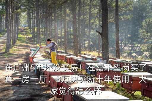 廣州東平和嘉禾望崗哪里租房便宜,在嘉禾望崗買了套一房一廳