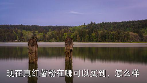 現(xiàn)在真紅薯粉在哪可以買到，怎么樣