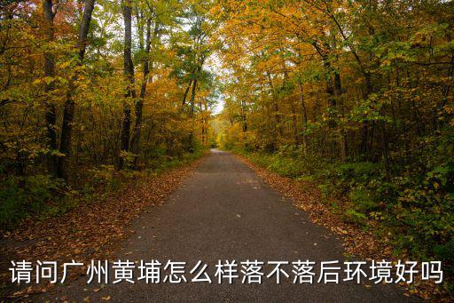 請問廣州黃埔怎么樣落不落后環境好嗎