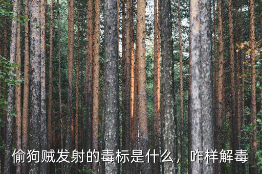 東莞哪里有偷狗的,農村常有狗被偷