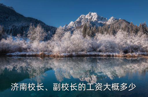 泰安校長工資多少錢,副校長的工資大概多少