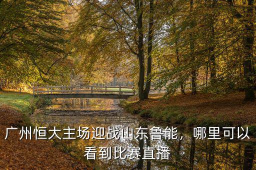 廣州哪里看恒大球賽,廣州人怎么看恒大足球