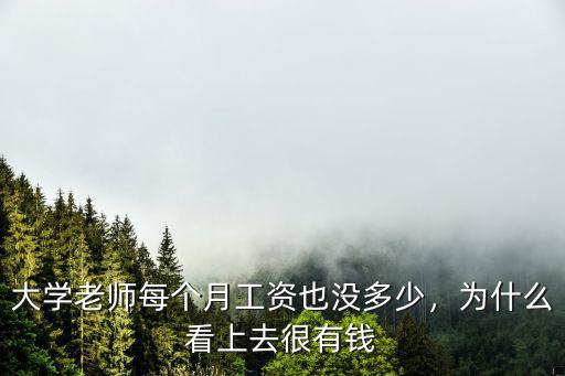 大學(xué)老師每個(gè)月工資也沒(méi)多少，為什么看上去很有錢(qián)