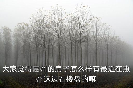惠州觀山悅房子怎么樣,惠州的房子怎么樣