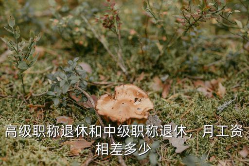 高級職稱退休和中級職稱退休，月工資相差多少