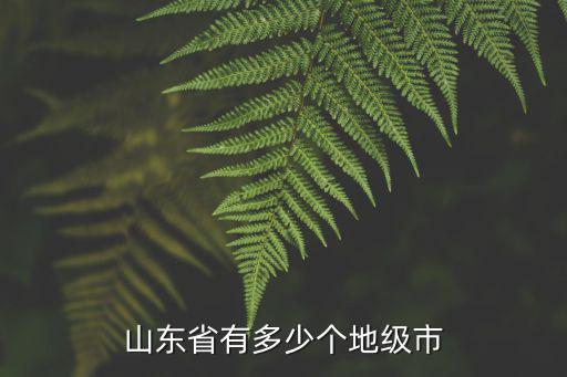 山東省有多少個地級市