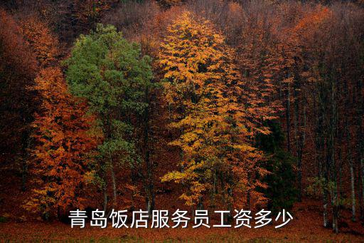 青島的服務員工資一般多少,青島飯店服務員工資多少