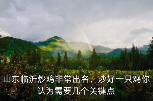 山東臨沂炒雞非常出名，炒好一只雞你認(rèn)為需要幾個關(guān)鍵點