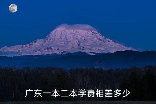 廣東二本美術專業學費多少錢,廣東一本二本學費相差多少