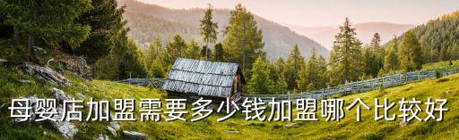 母嬰店加盟需要多少錢(qián)加盟哪個(gè)比較好