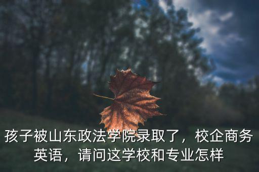 山東政法學院專科多少分錄取,山東政法學院怎么樣