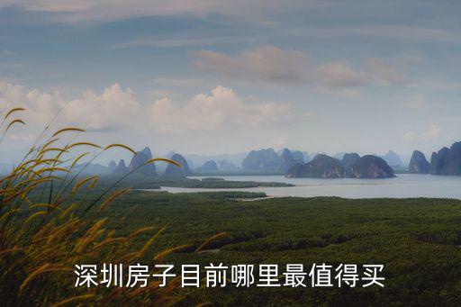 深圳大灣區哪里好,深圳住哪里綜合來說比較好