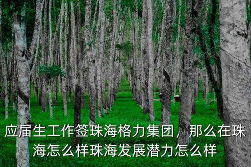 應(yīng)屆生工作簽珠海格力集團(tuán)，那么在珠海怎么樣珠海發(fā)展?jié)摿υ趺礃? class=