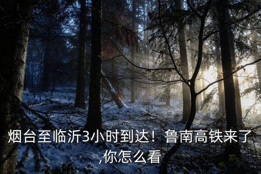 煙臺至臨沂3小時到達！魯南高鐵來了,你怎么看
