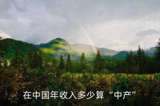 在中國年收入多少算“中產”