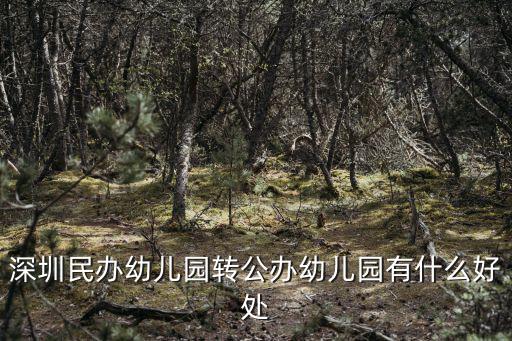 深圳小松樹幼兒園怎么樣,深圳幼兒園什么時候能開學(xué)