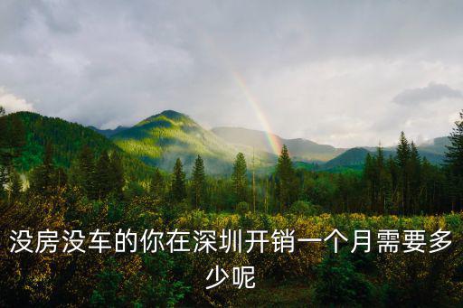 沒房沒車的你在深圳開銷一個(gè)月需要多少呢