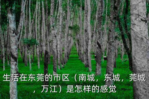 生活在東莞的市區(qū)（南城，東城，莞城，萬江）是怎樣的感覺