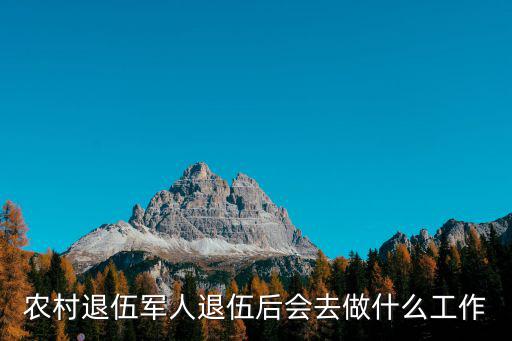 農村退伍軍人退伍后會去做什么工作