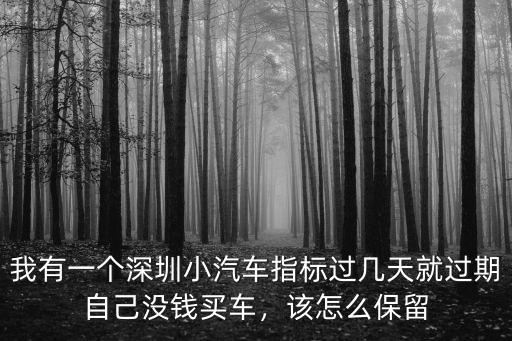 深圳牌照指標怎么占,有深圳上牌指標