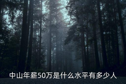 中山年薪50萬是什么水平有多少人