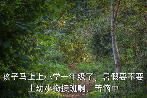 孩子馬上上小學一年級了，暑假要不要上幼小銜接班啊，苦惱中