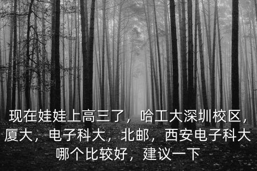 現(xiàn)在娃娃上高三了，哈工大深圳校區(qū)，廈大，電子科大，北郵，西安電子科大哪個(gè)比較好，建議一下