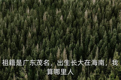 祖籍是廣東茂名，出生長大在海南，我算哪里人
