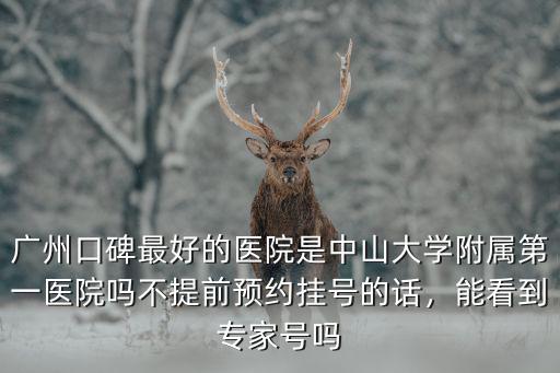 廣州口碑最好的醫院是中山大學附屬第一醫院嗎不提前預約掛號的話，能看到專家號嗎