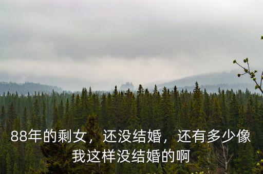 88年的剩女，還沒結婚，還有多少像我這樣沒結婚的啊