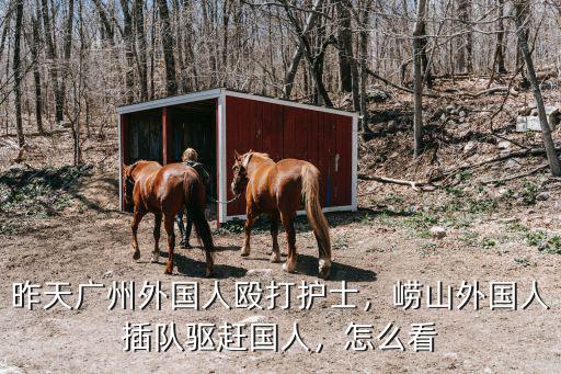 昨天廣州外國人毆打護士，嶗山外國人插隊驅趕國人，怎么看