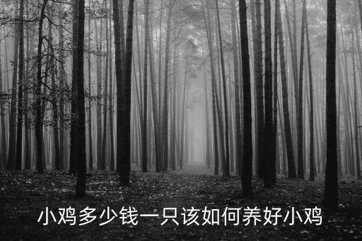 小雞娃日照多少錢一只,網購一只土雞大概要多少錢