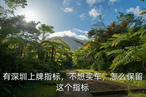 有深圳上牌指標，不想買車，怎么保留這個指標