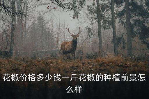 花椒價格多少錢一斤花椒的種植前景怎么樣
