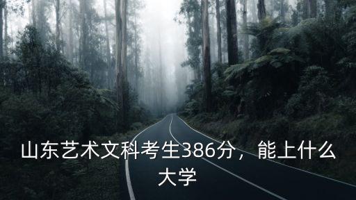 文科多少分能上山東藝術(shù)學(xué)院,山東藝術(shù)文科考生386分