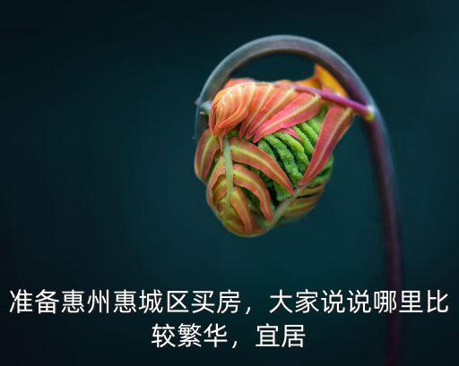 惠州哪里是舊城區,準備惠州惠城區買房