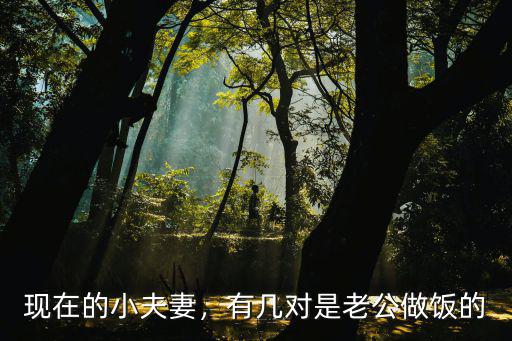 深圳小夫妻怎么做飯,小夫妻兩人都不會做飯