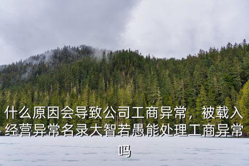 什么原因會導致公司工商異常，被載入經營異常名錄大智若愚能處理工商異常嗎