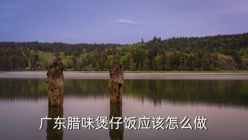 廣東臘味煲仔飯應該怎么做