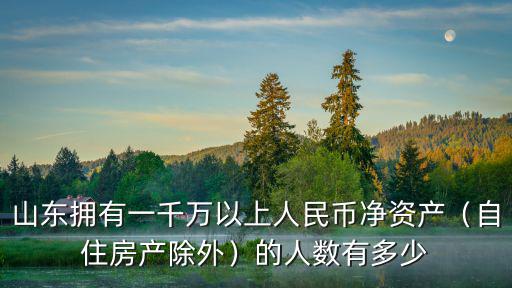山東擁有一千萬(wàn)以上人民幣凈資產(chǎn)（自住房產(chǎn)除外）的人數(shù)有多少
