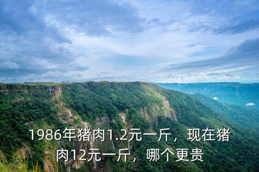 1986年豬肉1.2元一斤，現在豬肉12元一斤，哪個更貴