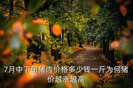 清遠英德的豬肉多少錢一斤,廣東豬肉現在多少錢一斤
